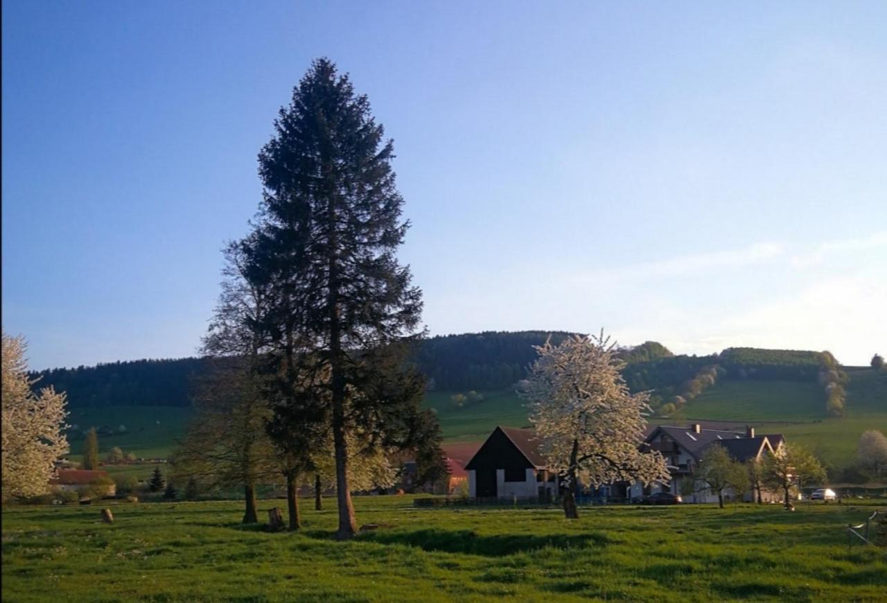 Scinawka Gorna Agroturystyka "U Kasi" מראה חיצוני תמונה