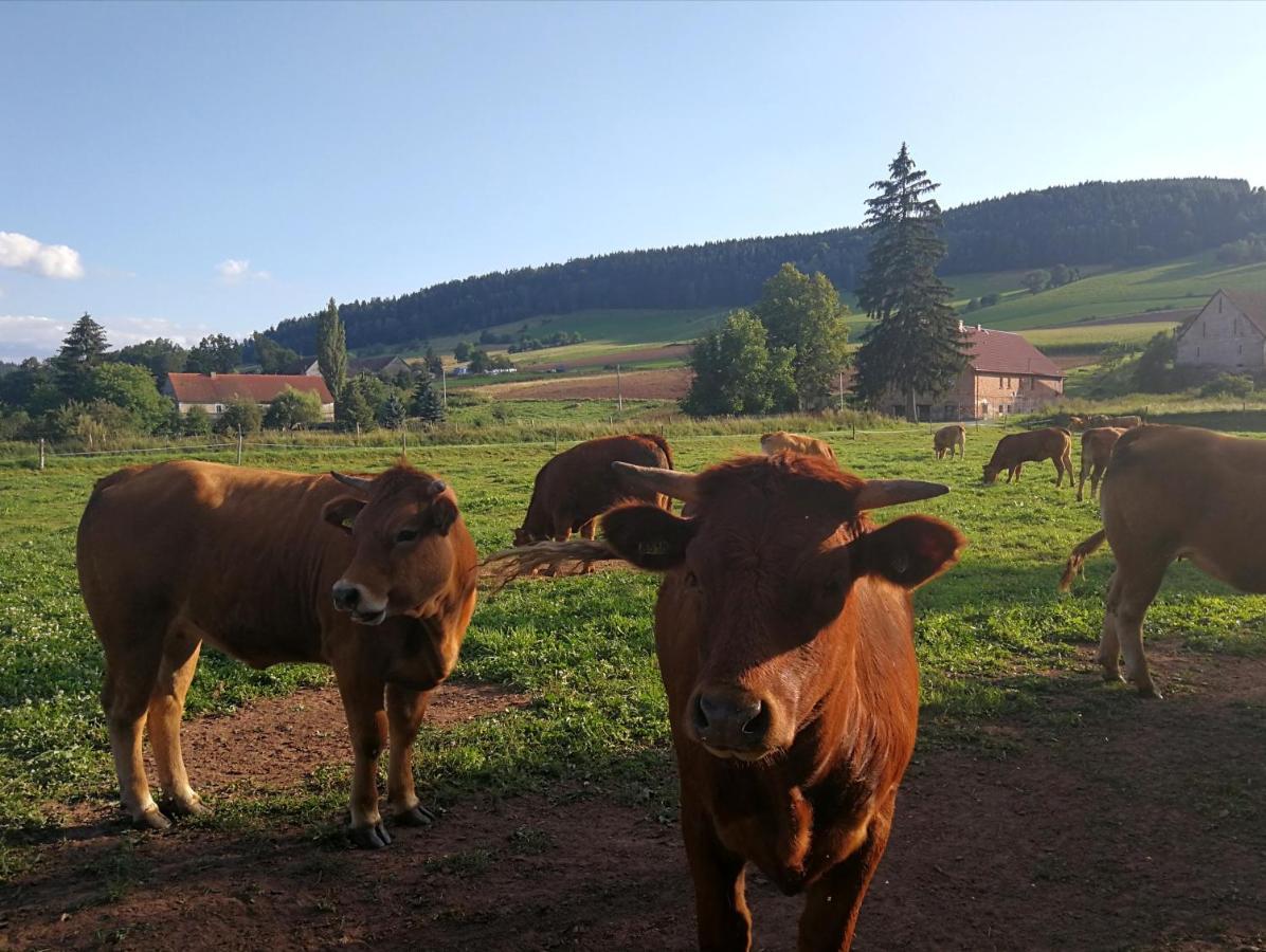 Scinawka Gorna Agroturystyka "U Kasi" מראה חיצוני תמונה