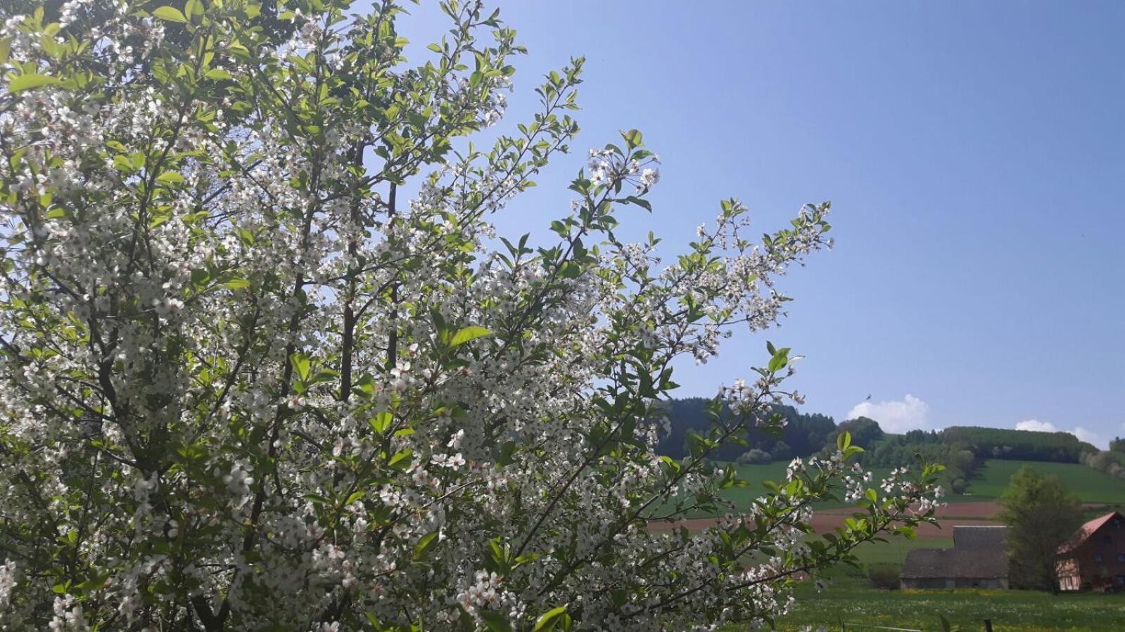Scinawka Gorna Agroturystyka "U Kasi" מראה חיצוני תמונה