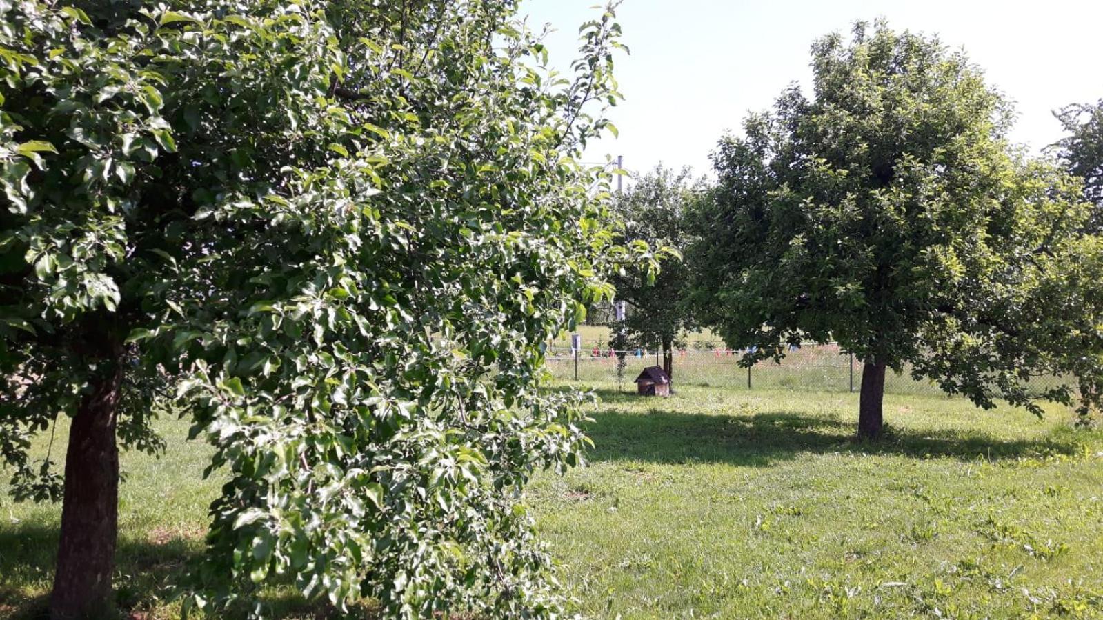 Scinawka Gorna Agroturystyka "U Kasi" מראה חיצוני תמונה